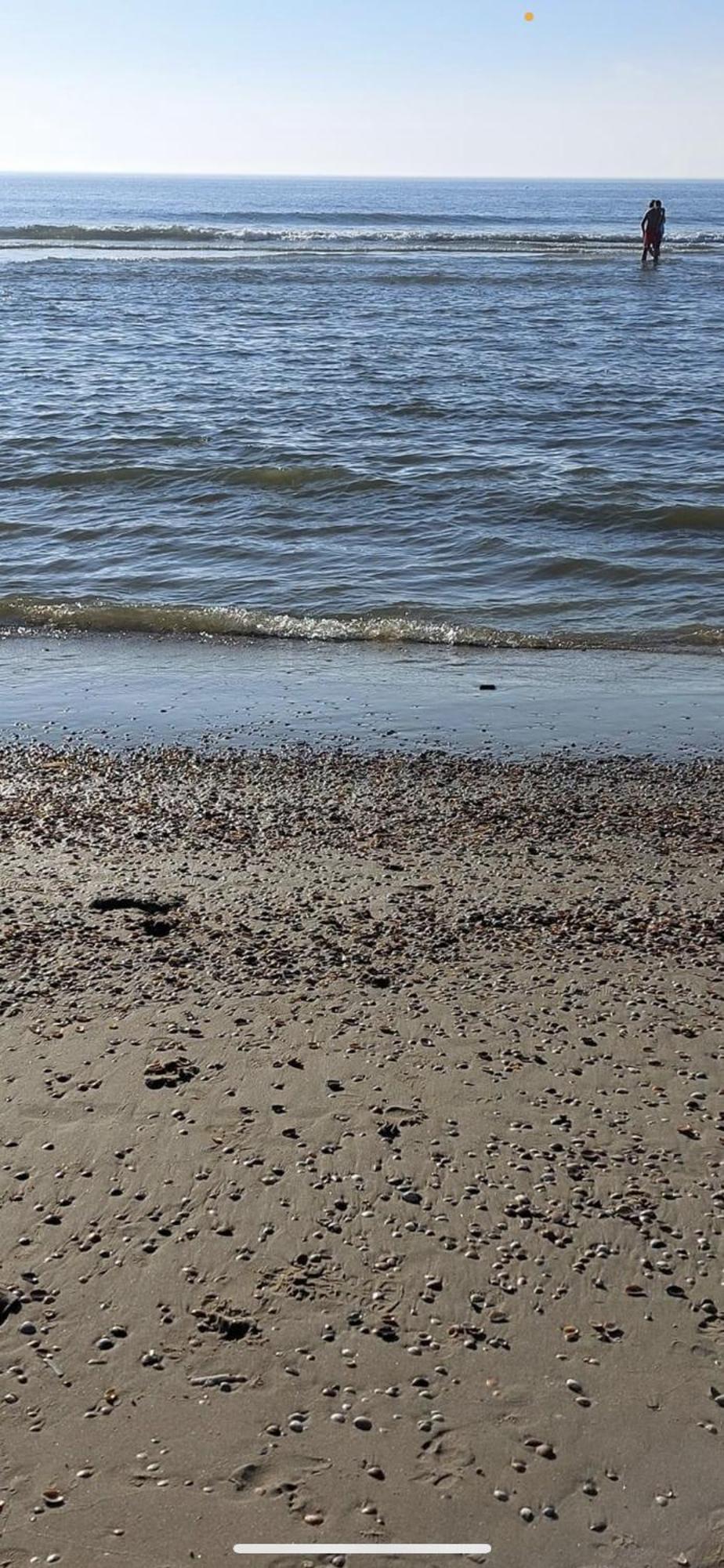 Vakantiehuisje Aan Zee Met Dakterras Rust En Strand 250 M Эгмонд-ан-Зее Экстерьер фото